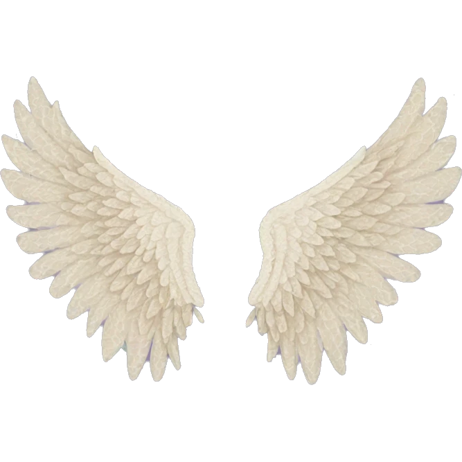 rococo lace angel wings emoji