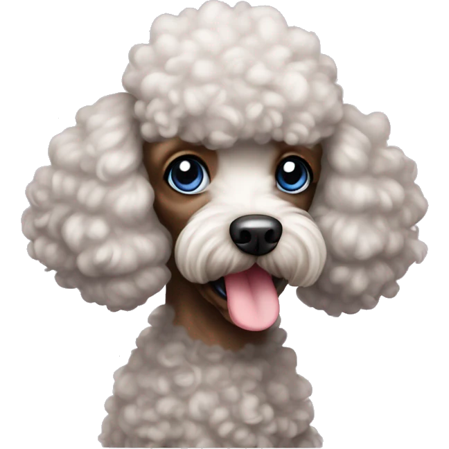 Mini multicolor poodle with blue eyes  emoji