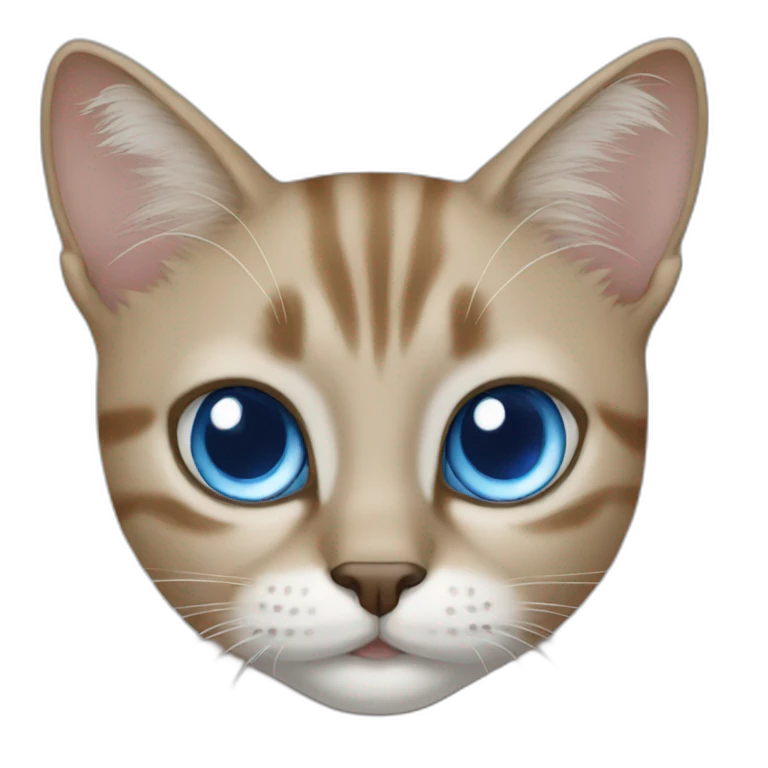 cat with blue eyes emoji