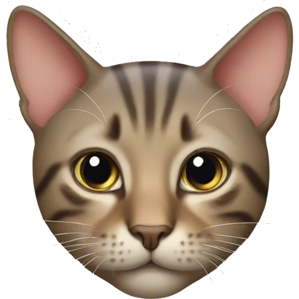 cat invite you emoji