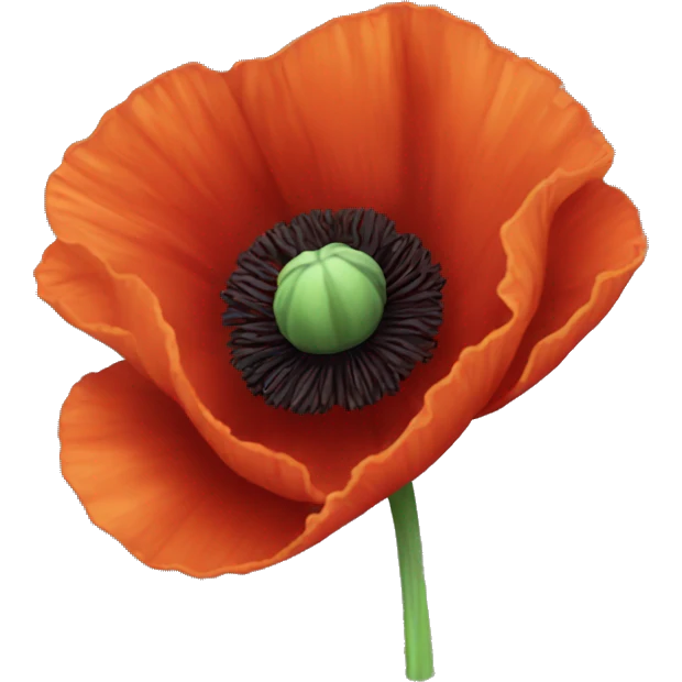 Poppy flower  emoji