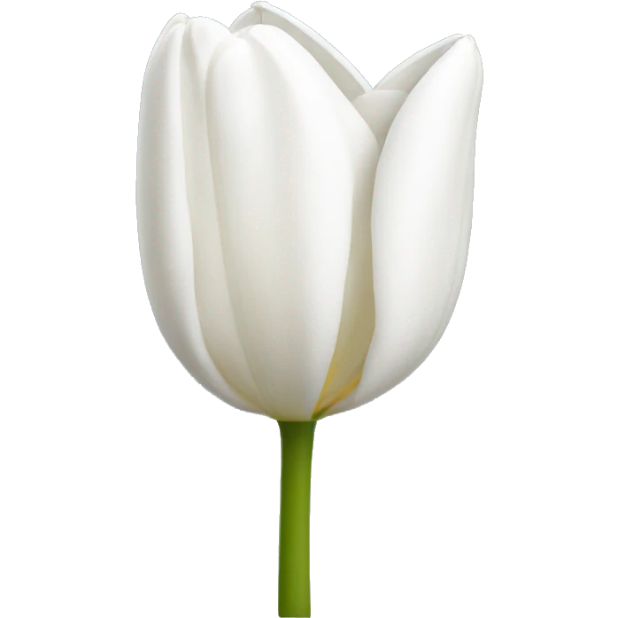 White tulip emoji