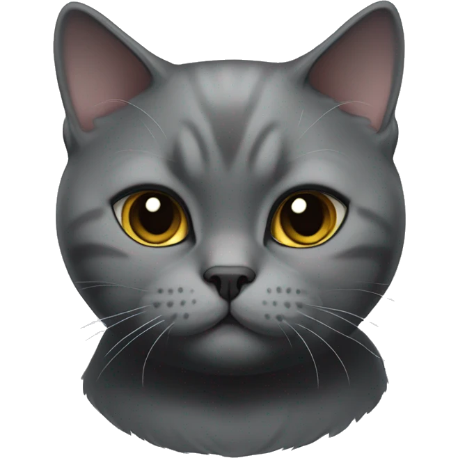 Cat british shorthair black withe emoji