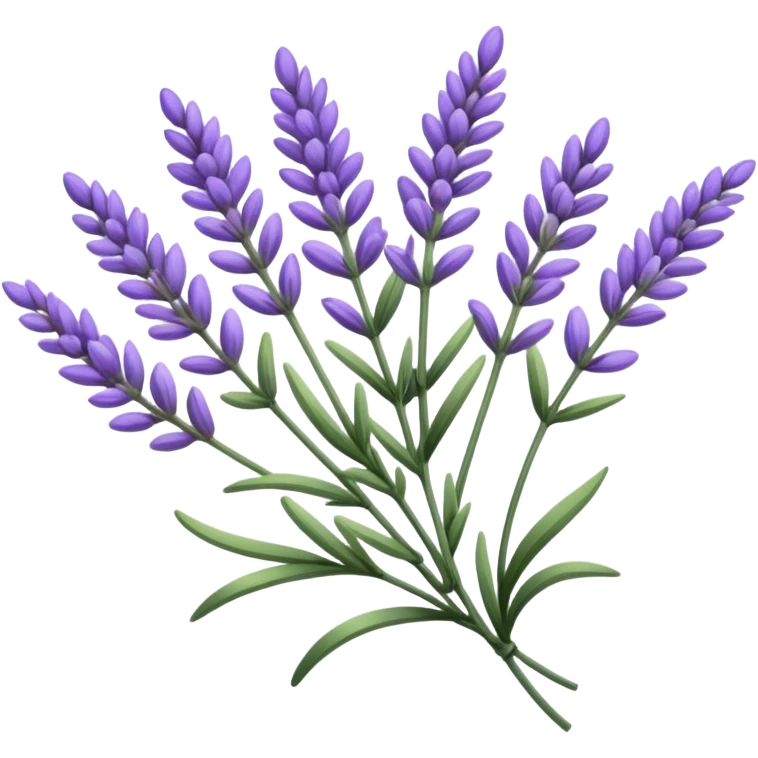 Lavender sprig emoji