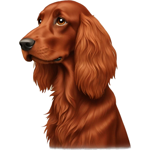 Irish red setter dog  emoji