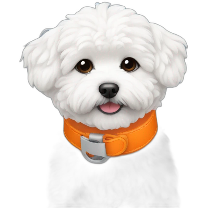 white maltipoo enjoying in the snow with orange collar emoji