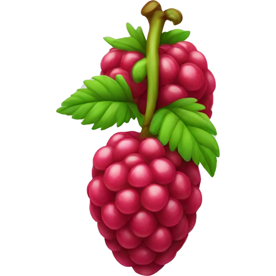 raspberry emoji