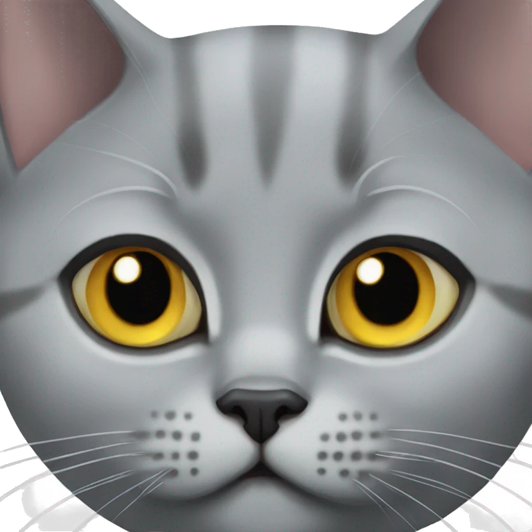British shorthair cat grey emoji