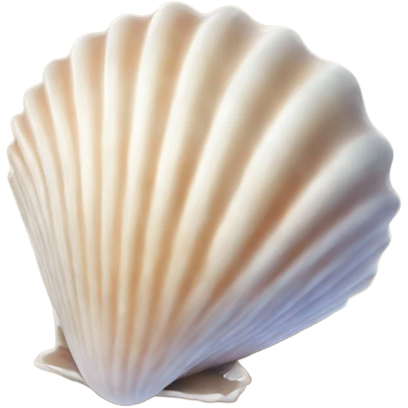 sea shell emoji