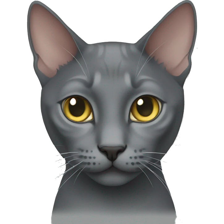 Korat cat emoji