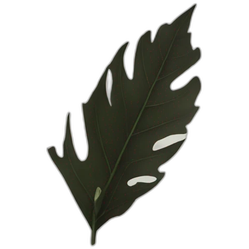 Une feuille noire emoji