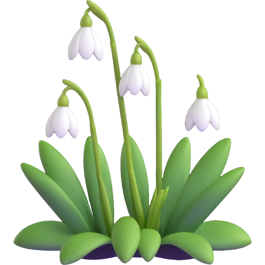 snowdrop flower emoji