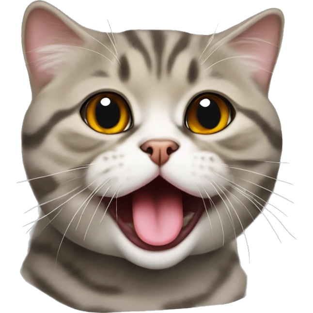 Scottish fold tabby cat with tongue sticking out emoji