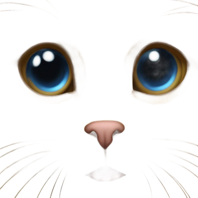 Cat Butt emoji