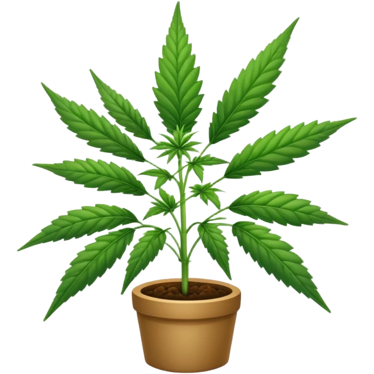 Canabis emoji