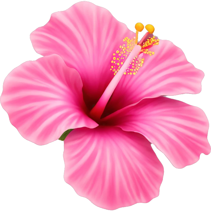 Pink hibiscus flower emoji