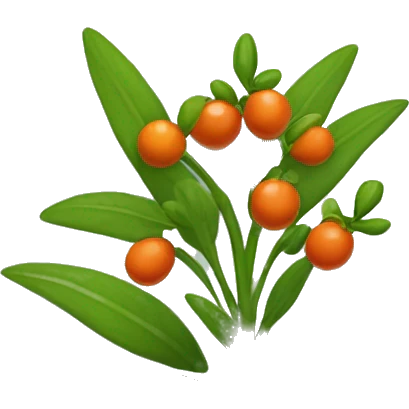Create an emoji of a plant with a thin, slightly hairy green stem and oval, dark green, serrated leaves in opposite pairs. Add small greenish-yellow star-shaped flowers and round, reddish-orange berries at the leaf axils. emoji