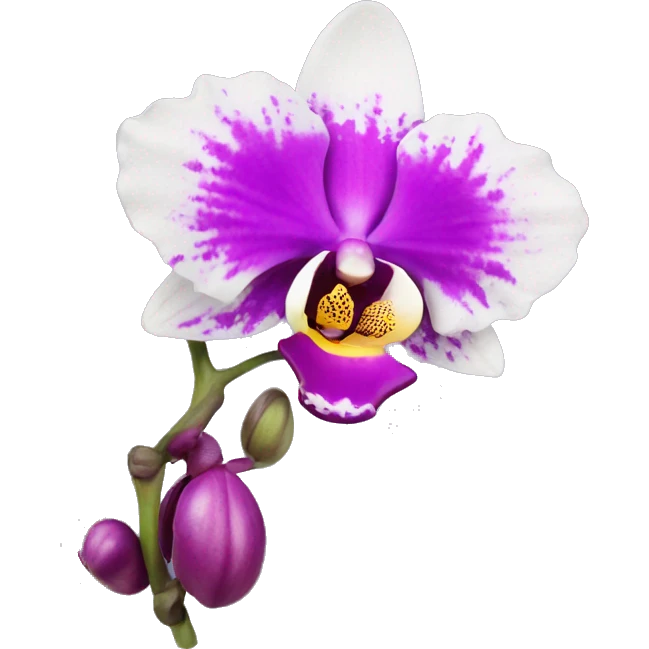 orchid flower emoji