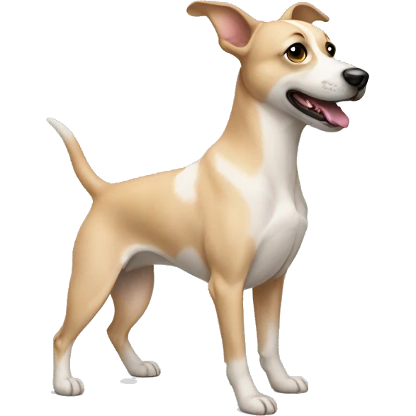 Dog ballerine  emoji