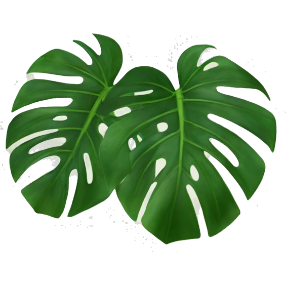 Monstera deliciosa emoji
