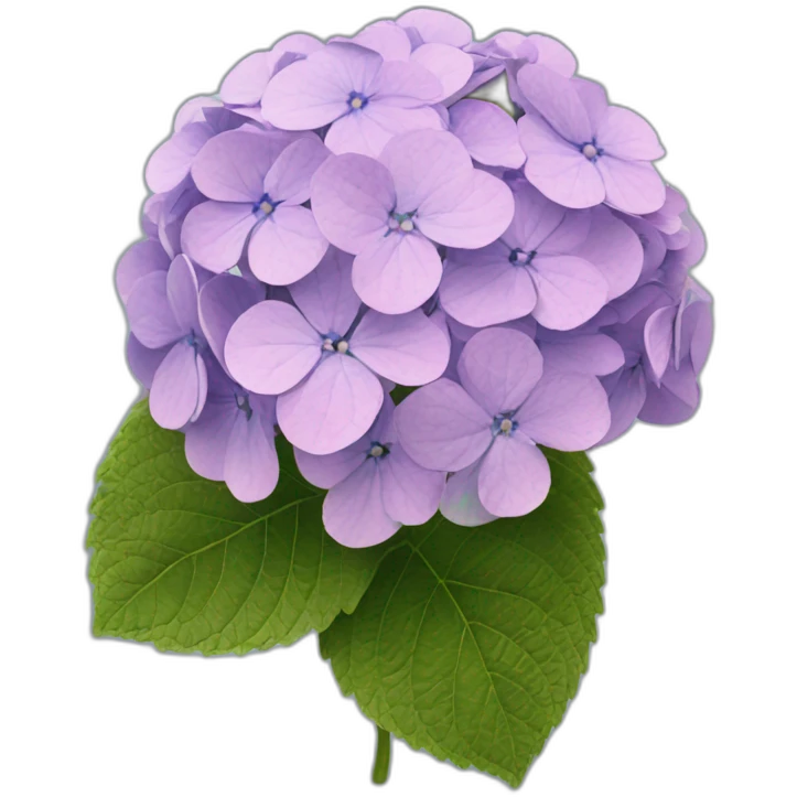 Hydrangea Celeste flower emoji