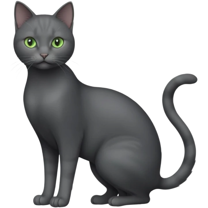 full body view of beautiful female solid dark grey cat with green eyes, grey face, white toes/paws and small white patch on her chest emoji
