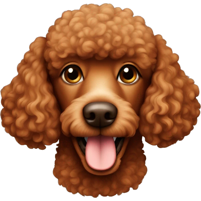 The muzzle of a brown-red poodle emoji