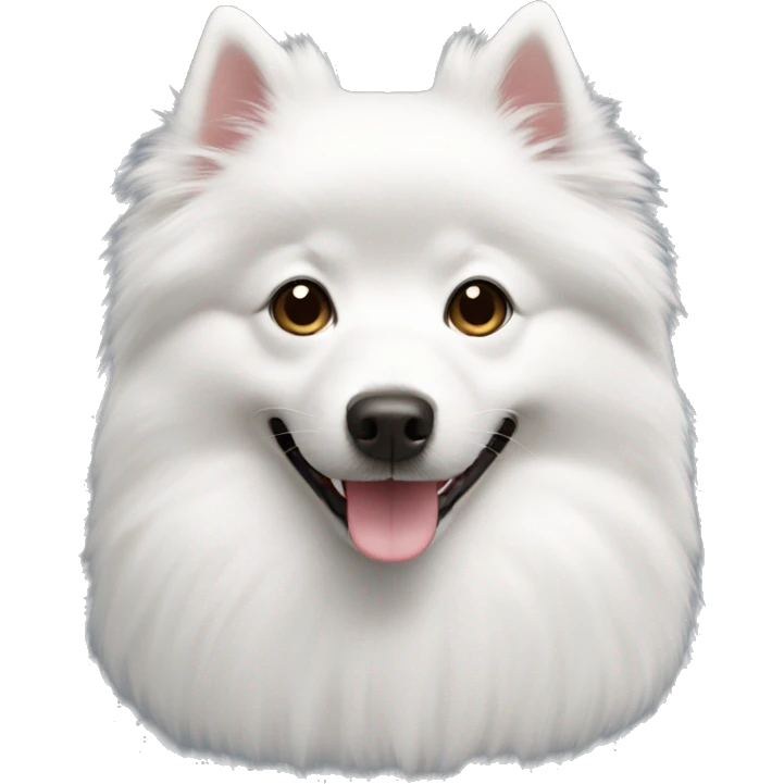 Japanese spitz  emoji