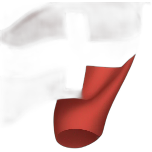 switzerland flag emoji