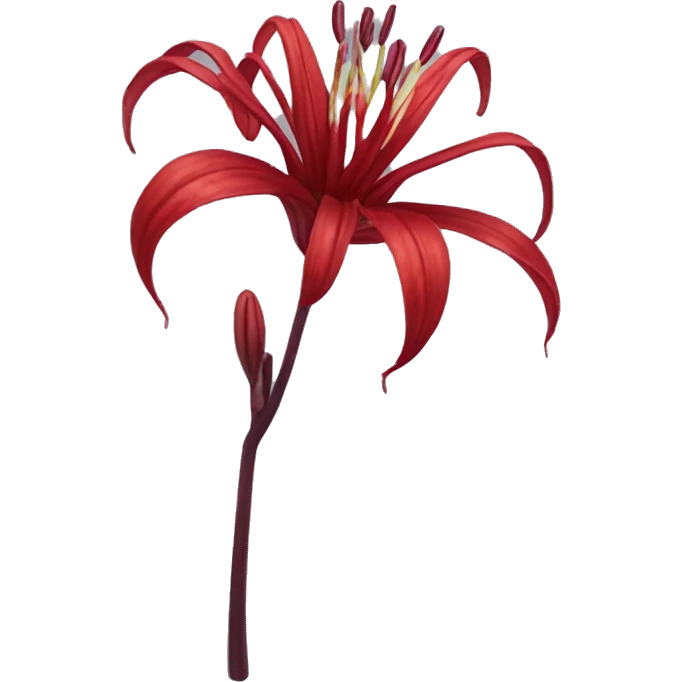 Dark Red Spider Lilly flower  emoji