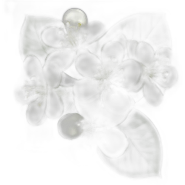 Linden flower emoji