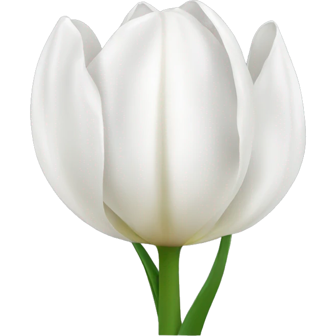 White tulipe emoji