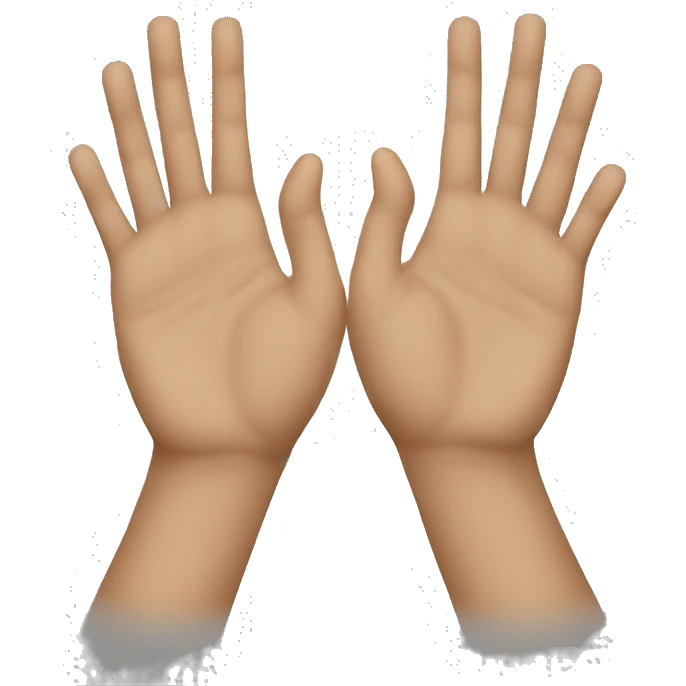 2 hands  emoji