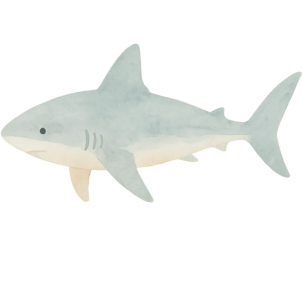 shark in watercolor art style emoji