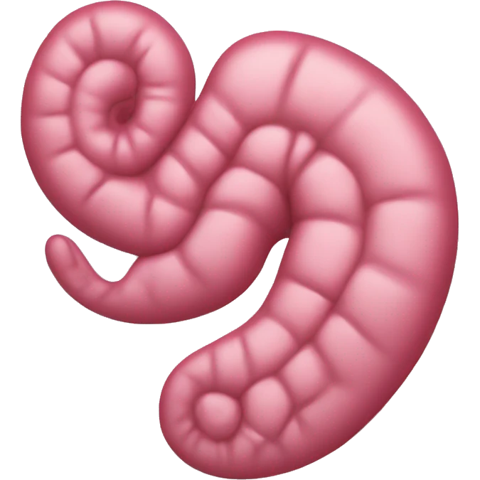 a human stomach with pinkish color.” emoji