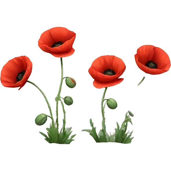 three red poppies with stems emoji