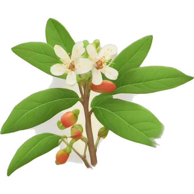 (style Apple Emoji) "ashwagandha with flower"  emoji