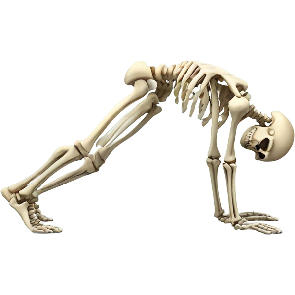 skeleton doing pushup emoji