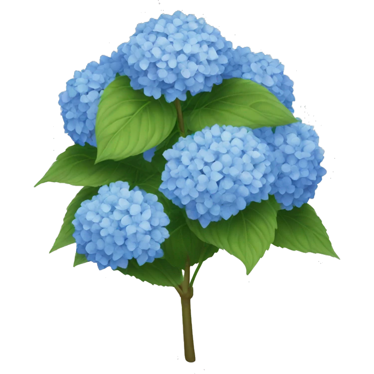 Hydrangea flower bush emoji