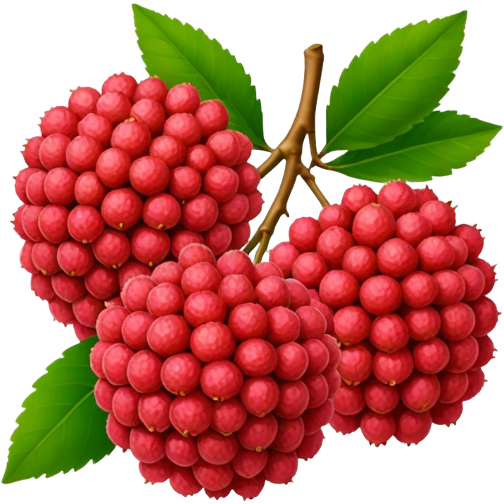 red lychee fruit with rough texture and green leaf emoji