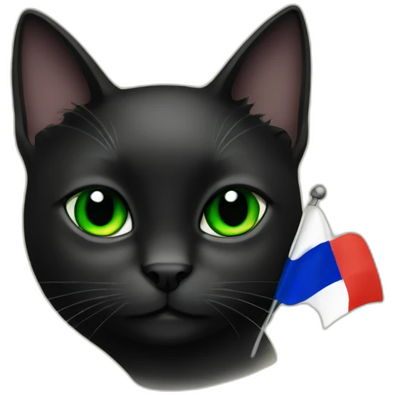 All black cat green eyes with French flag emoji