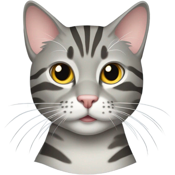 Grey tabby cat emoji