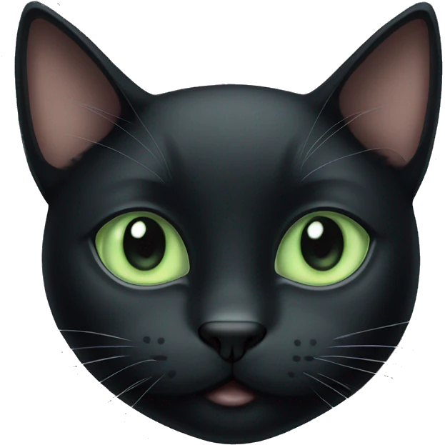 Cute black cat with pale green eyes  emoji