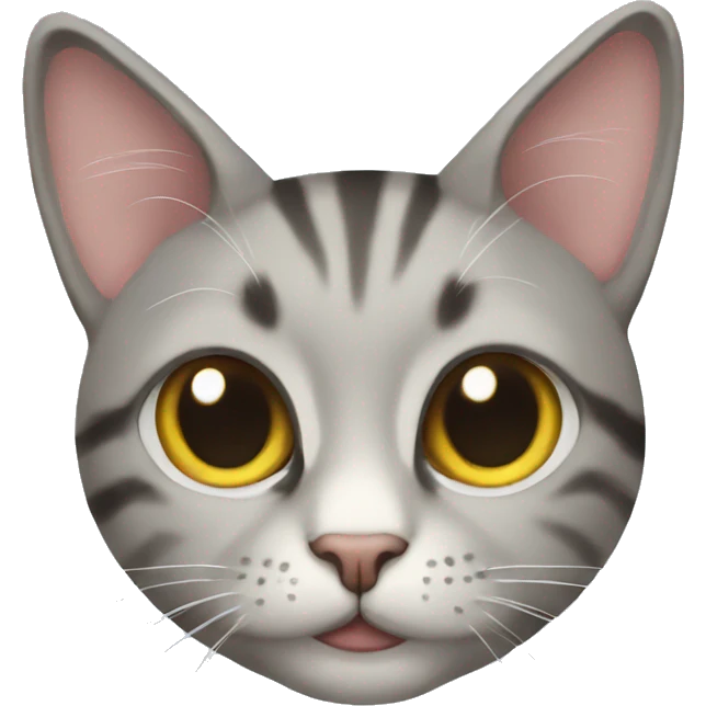 cat  emoji