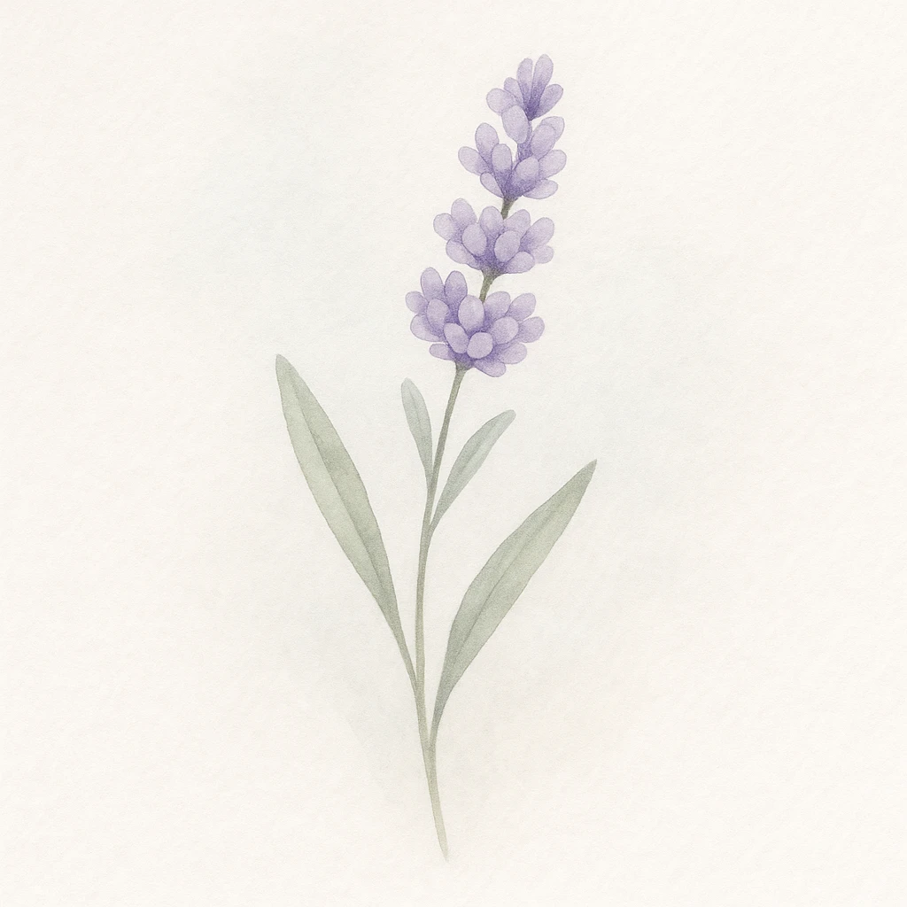 Make the lavender sprig more detailed, with delicate petals and realistic leaves, while keeping the soft background and gentle, minimal look in a watercolor art style. emoji