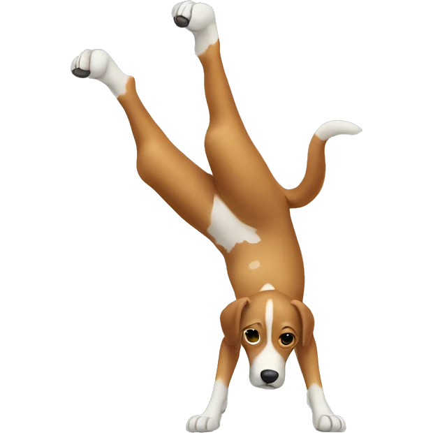 Dog doing a handstand  emoji