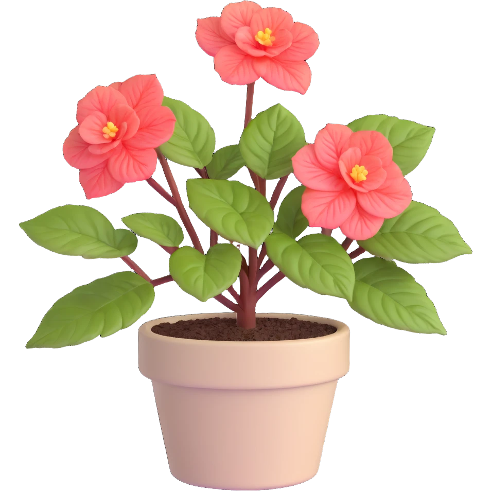 Begonia Rex plant in a beige pot with spiral leaf pattern emoji