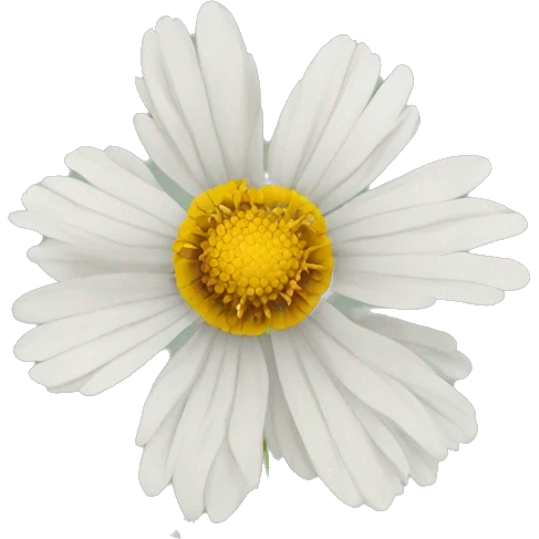 coreopsis flower emoji