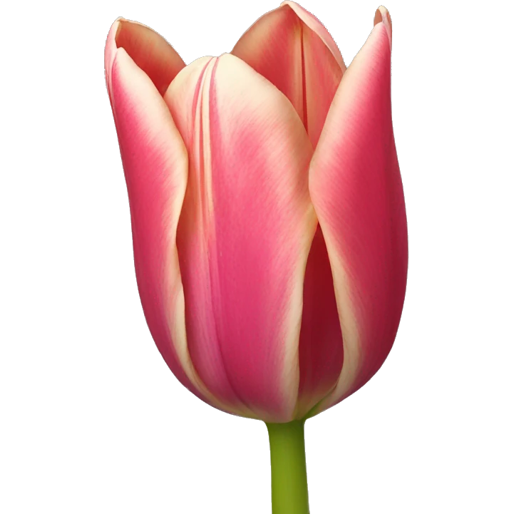 Tulip emoji