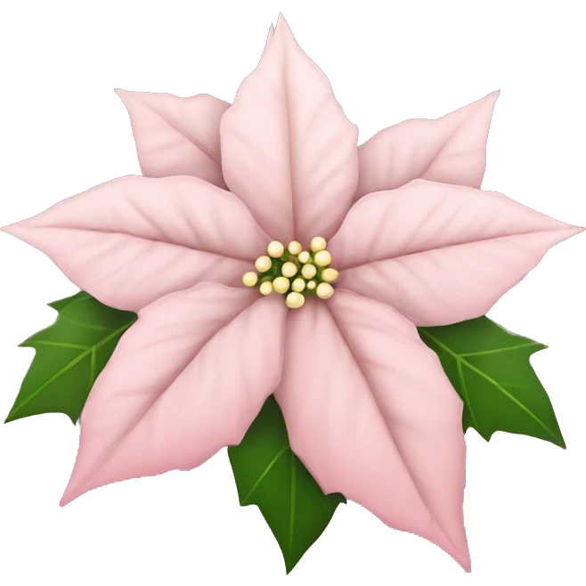 light Pink Christmas poinsettia  emoji